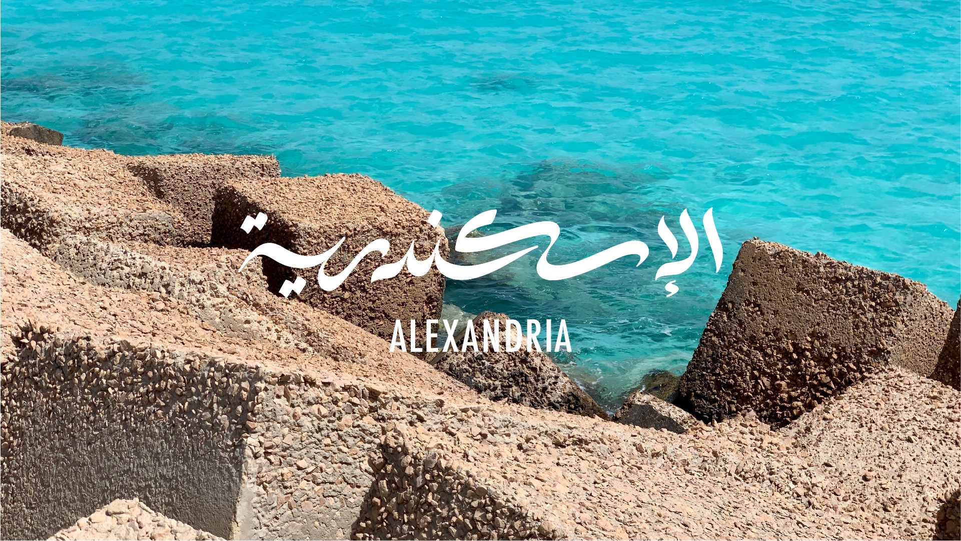 Alexandria Portfolio Presentation-04