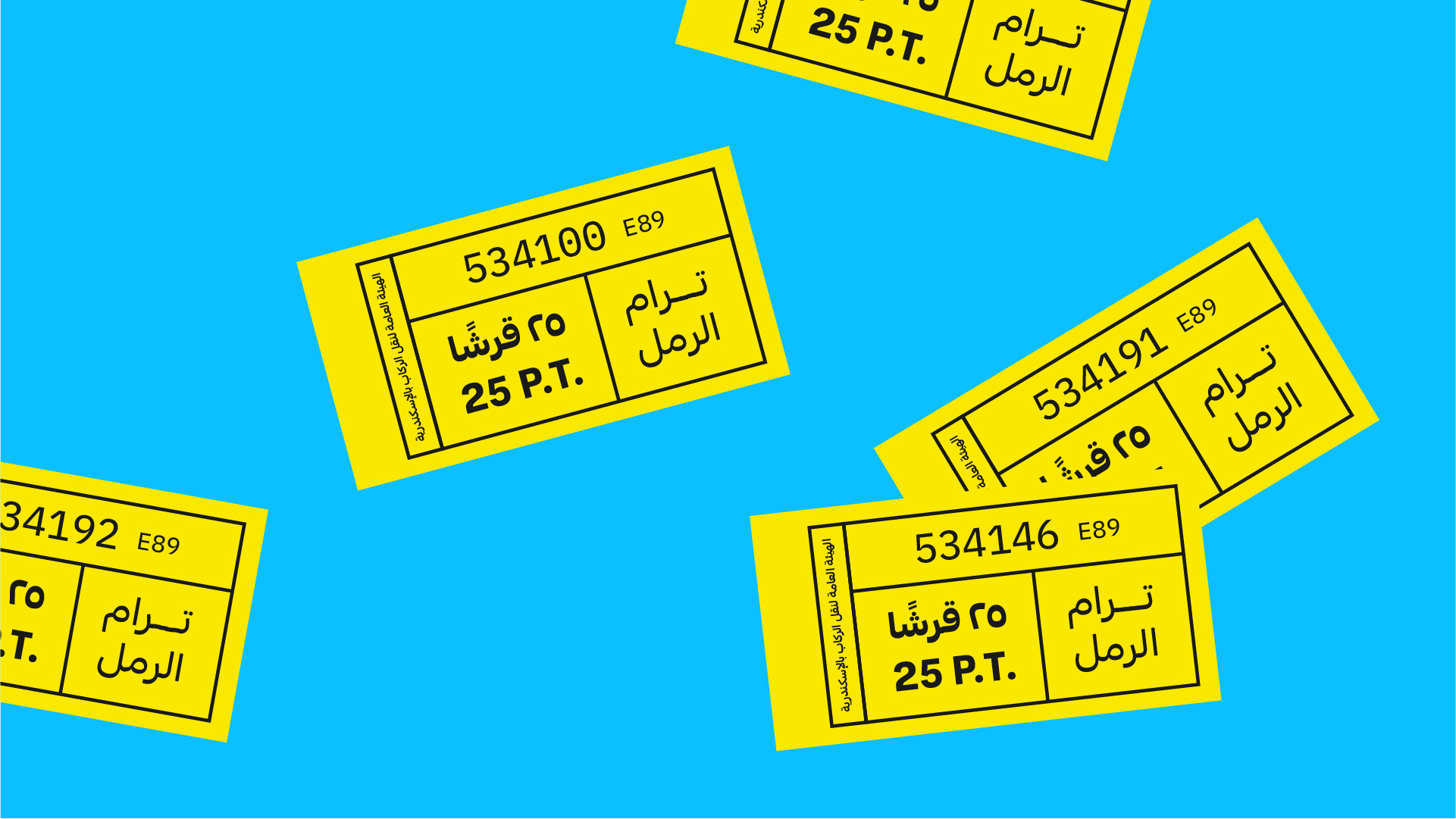 Alexandria Portfolio Presentation-11