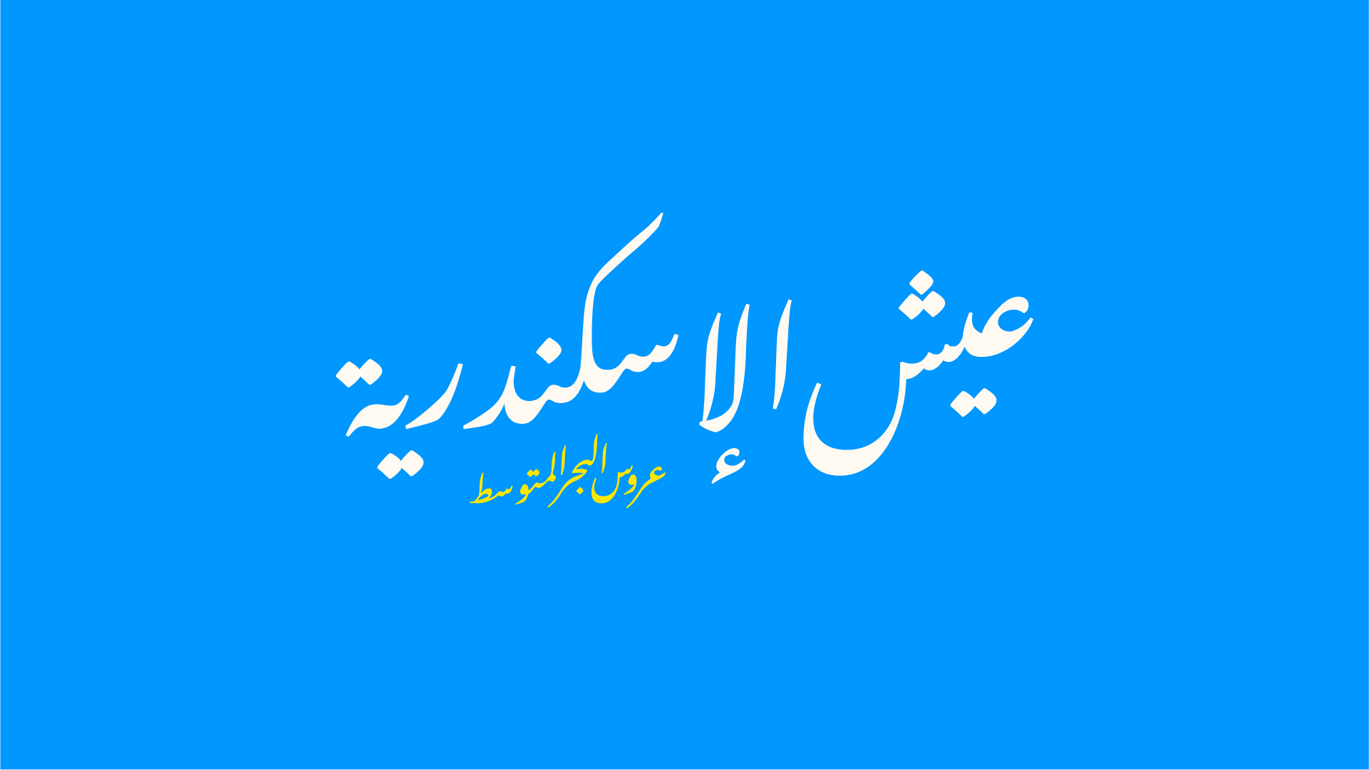 Alexandria Portfolio Presentation-18