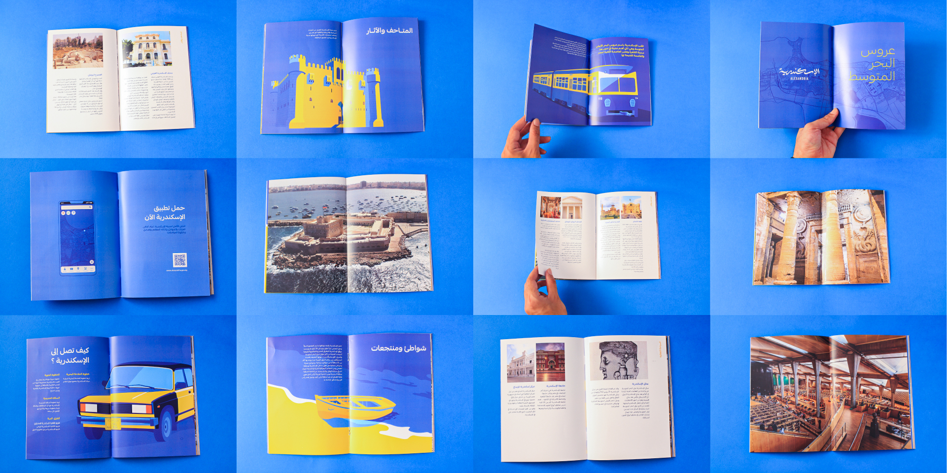 Alexandria Portfolio Presentation 2-04