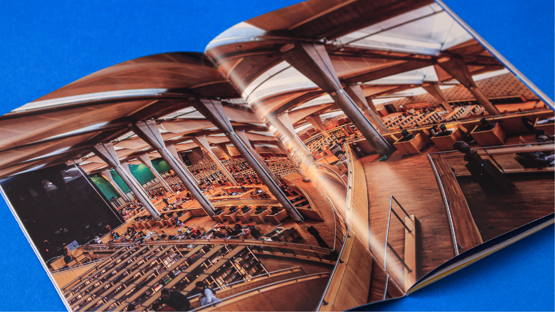 Alexandria Portfolio Presentation 2-05