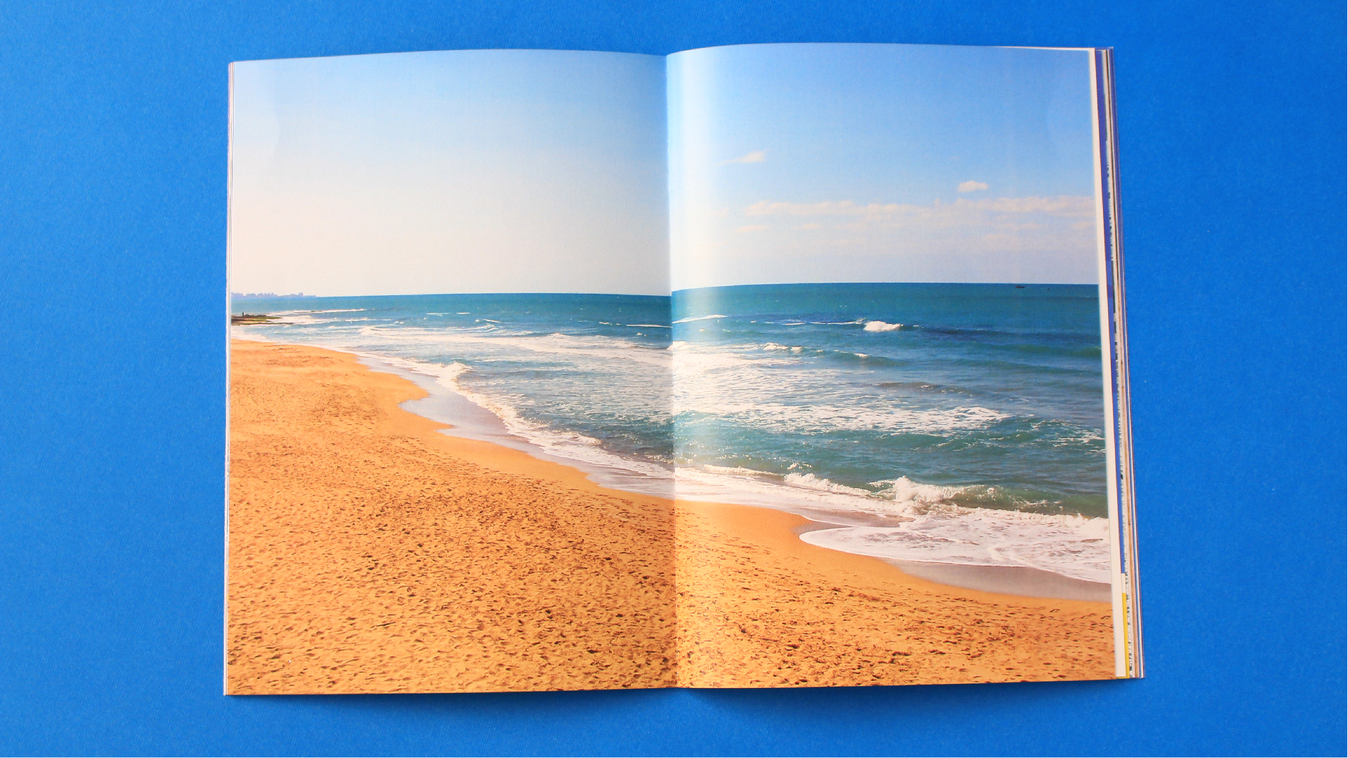 Alexandria Portfolio Presentation 2-06