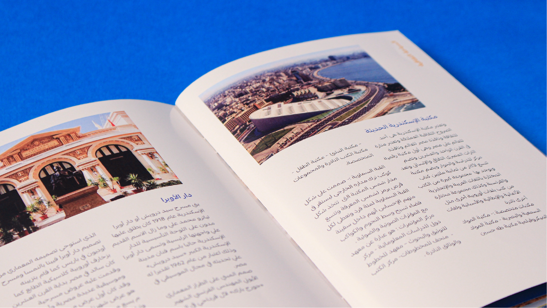 Alexandria Portfolio Presentation 2-08