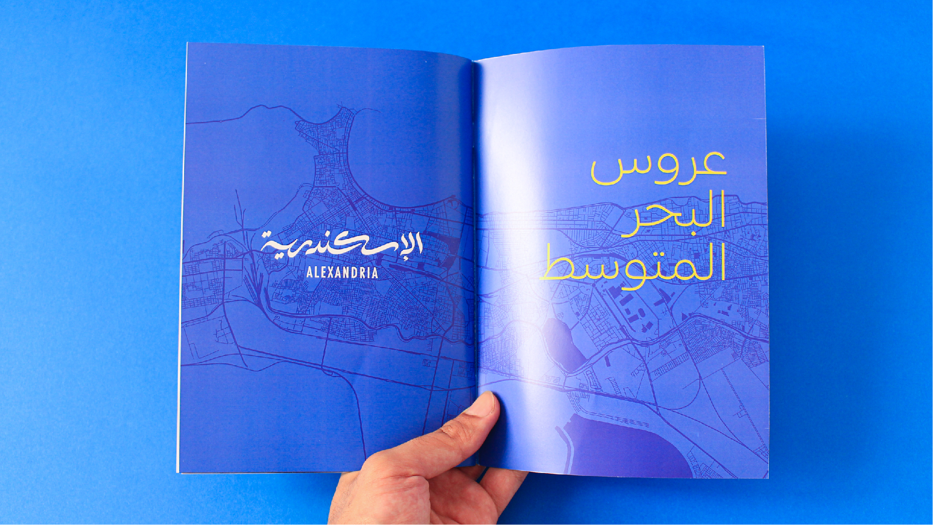 Alexandria Portfolio Presentation 2-09