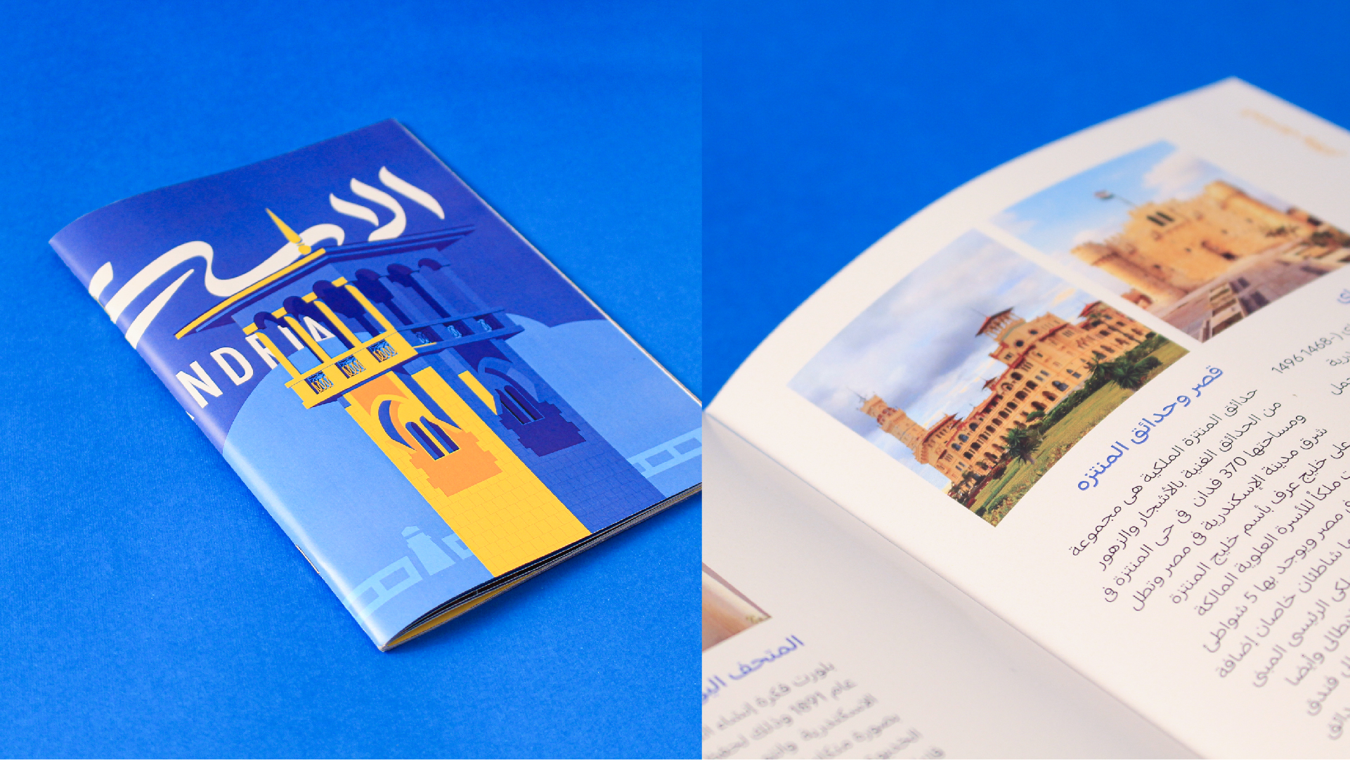 Alexandria Portfolio Presentation 2-11