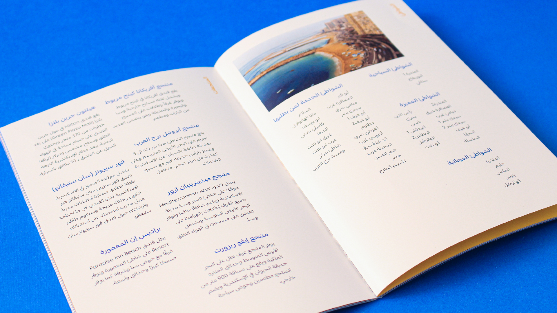 Alexandria Portfolio Presentation 2-12