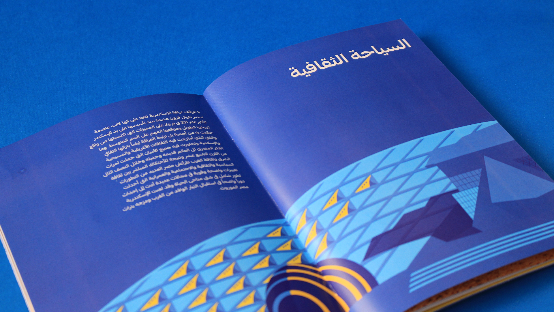 Alexandria Portfolio Presentation 2-13