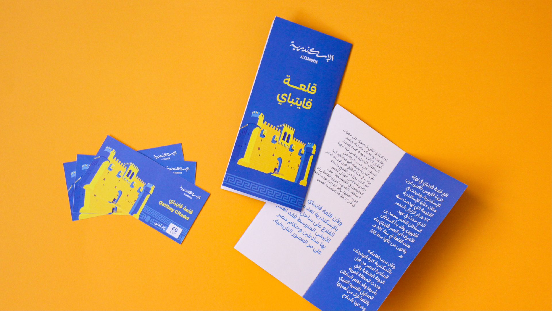 Alexandria Portfolio Presentation 2-20