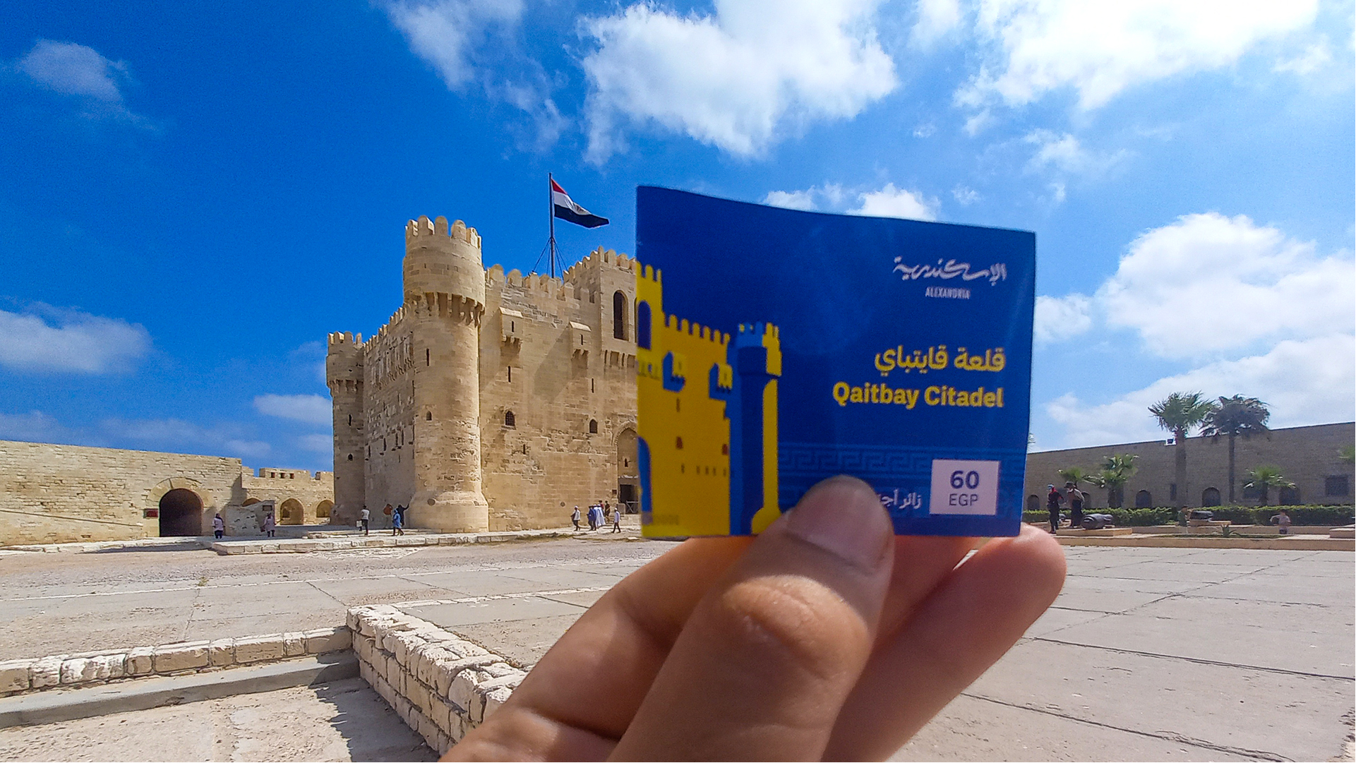 Alexandria Portfolio Presentation 2-22