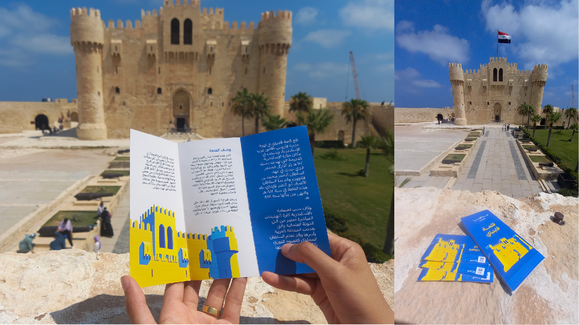 Alexandria Portfolio Presentation 2-23