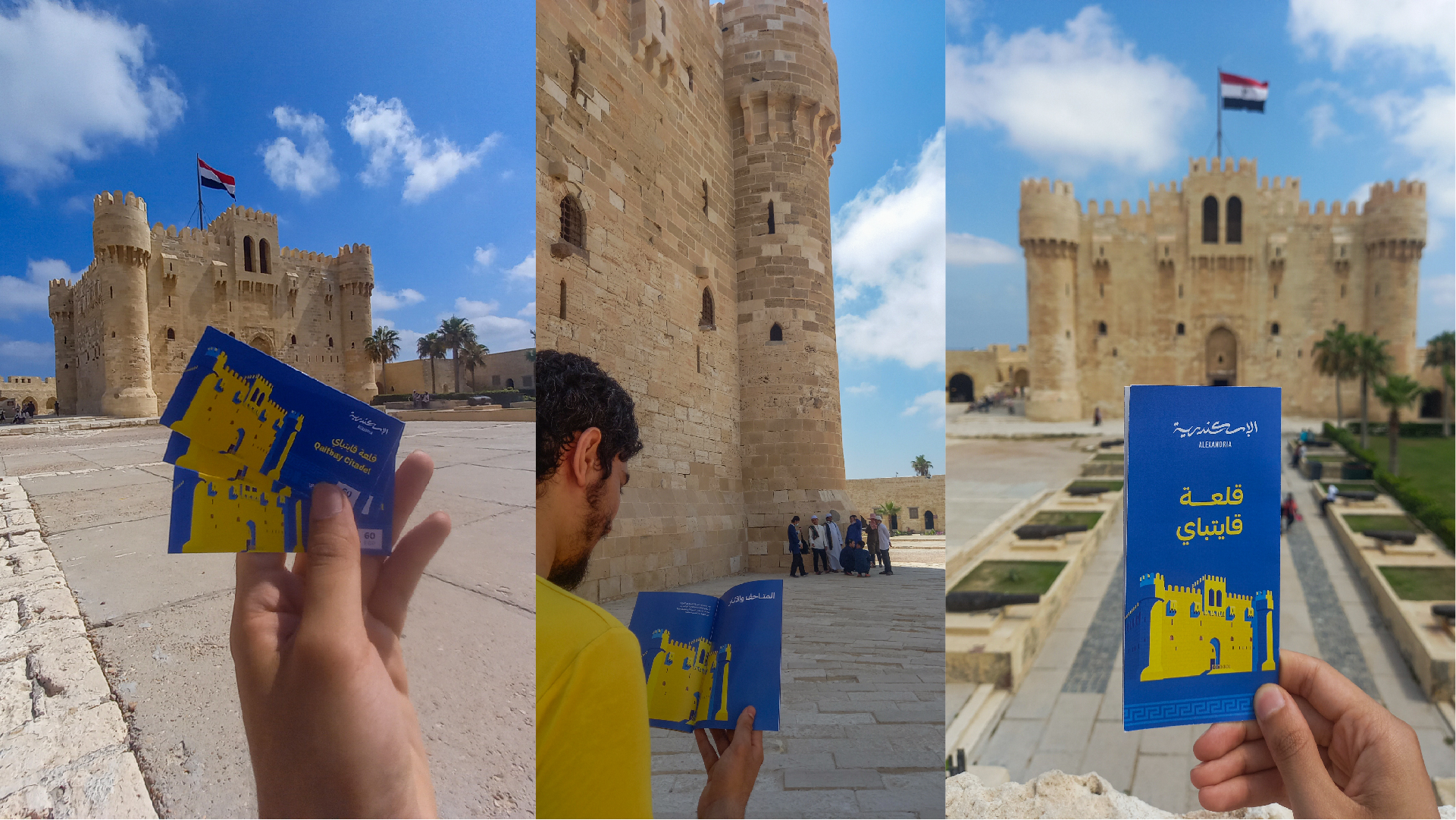 Alexandria Portfolio Presentation 2-24