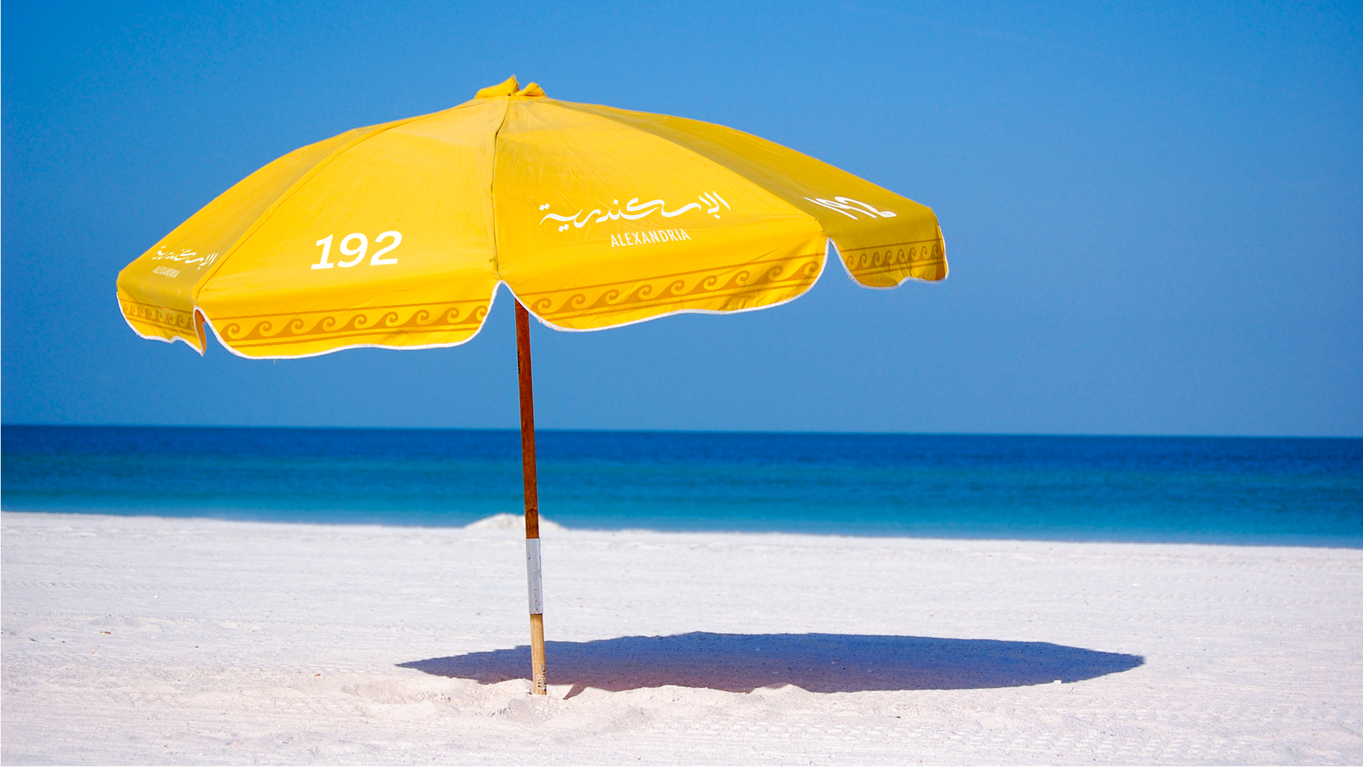 Alexandria Portfolio Presentation 2-31