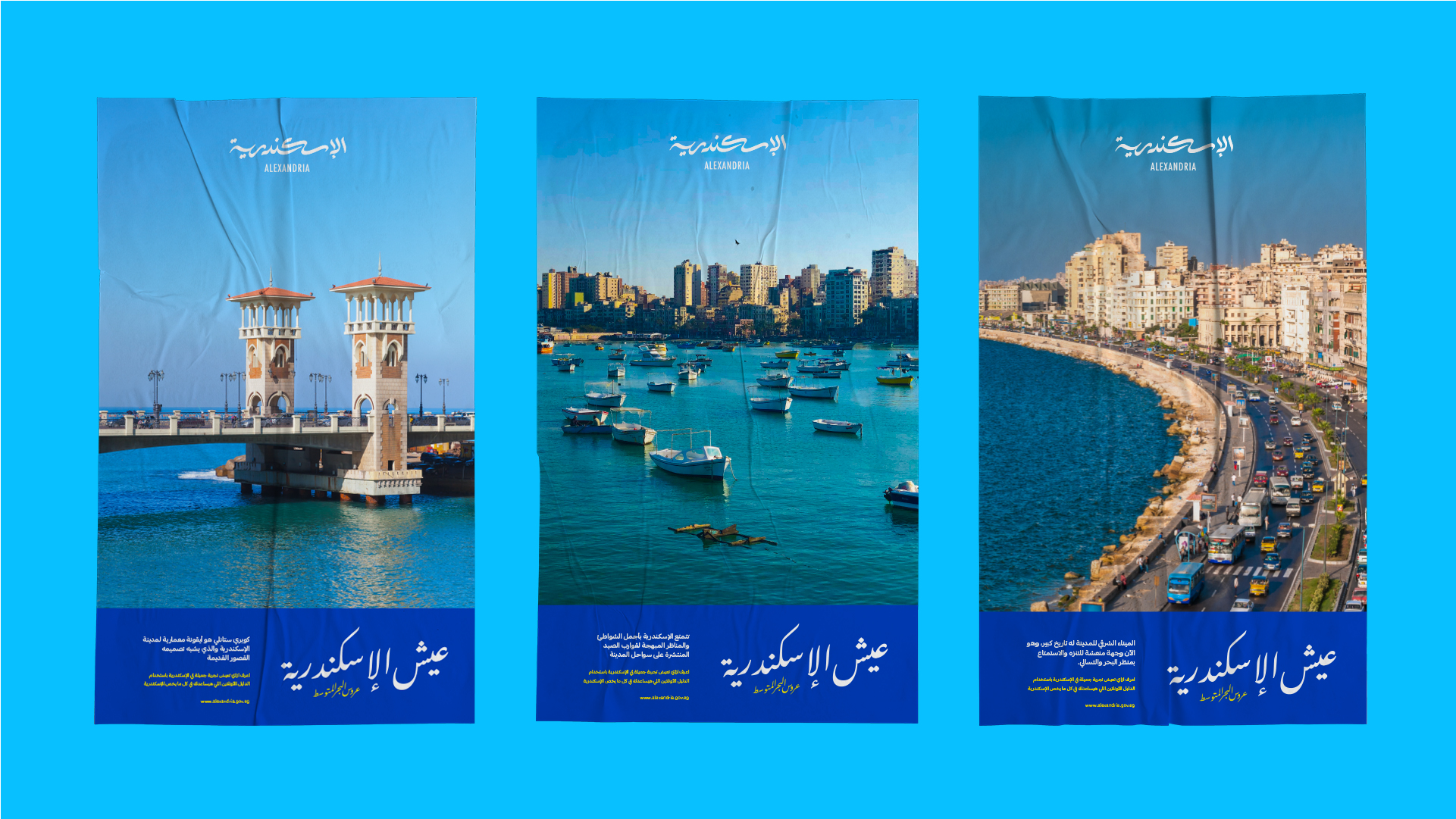 Alexandria Portfolio Presentation 2-39