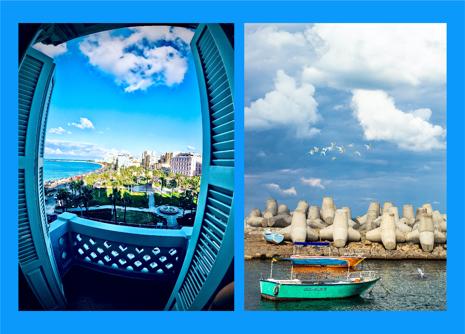 Alexandria Portfolio Presentation-34