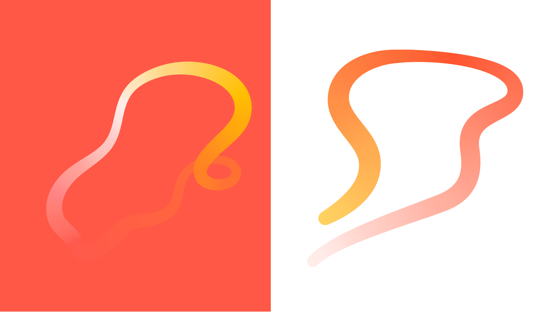 Bazaar Porftolio Showcase-10